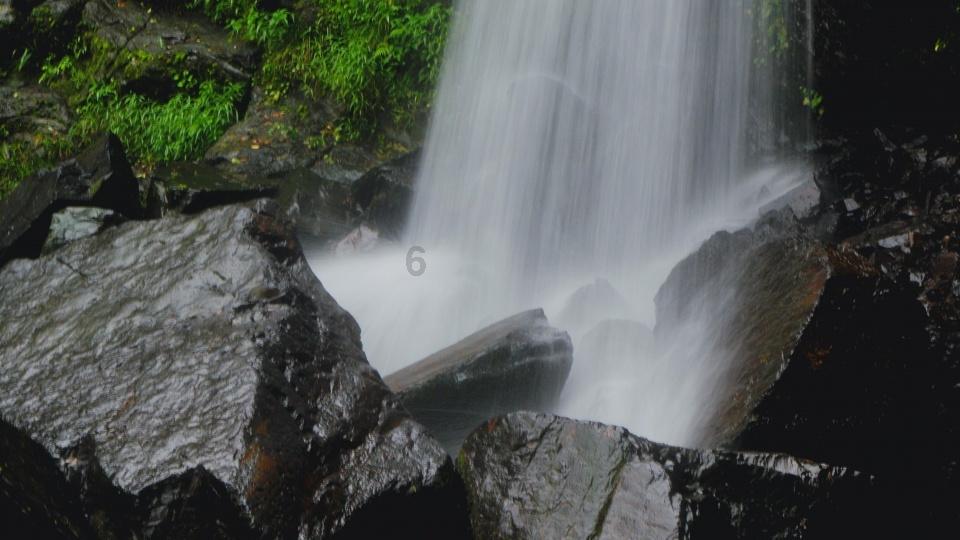 阴暗森林