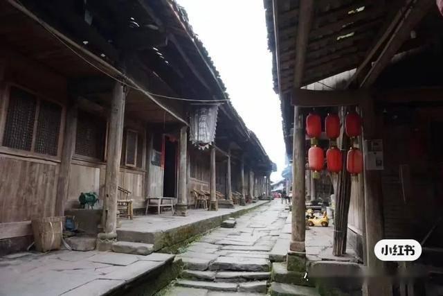 认识《请君》收官成爆款,能为剧中演员带来哪些收益?,探索知识星球的精彩世界